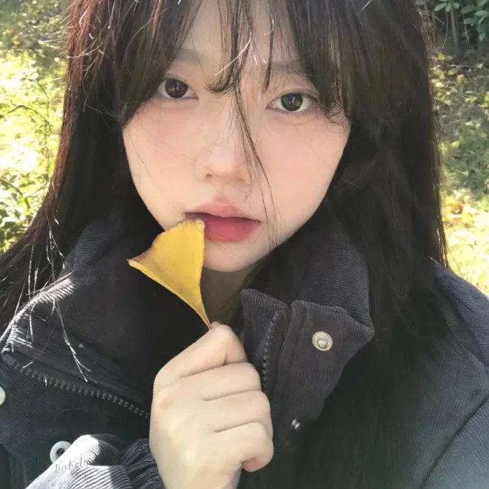 启航：当风起时